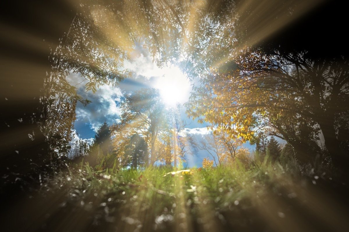 Утро солнце