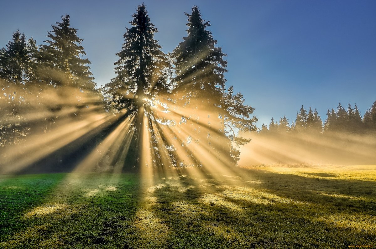 Лучезарное солнце