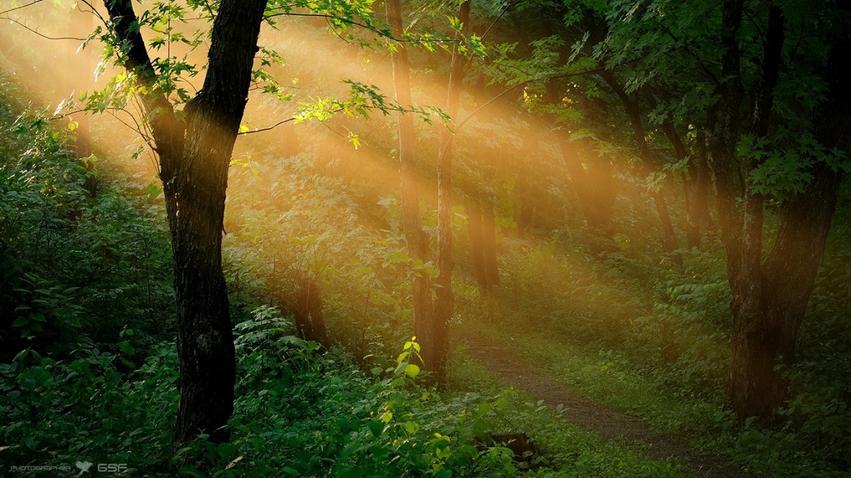 Небо солнце