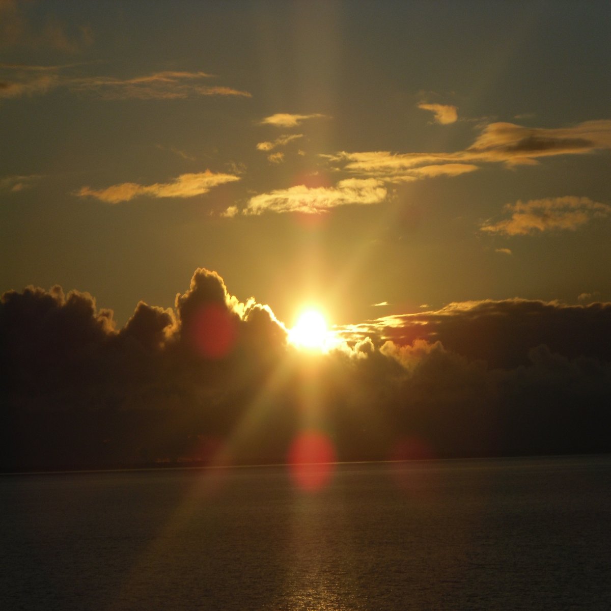 Красивая девушка в солнечных лучах