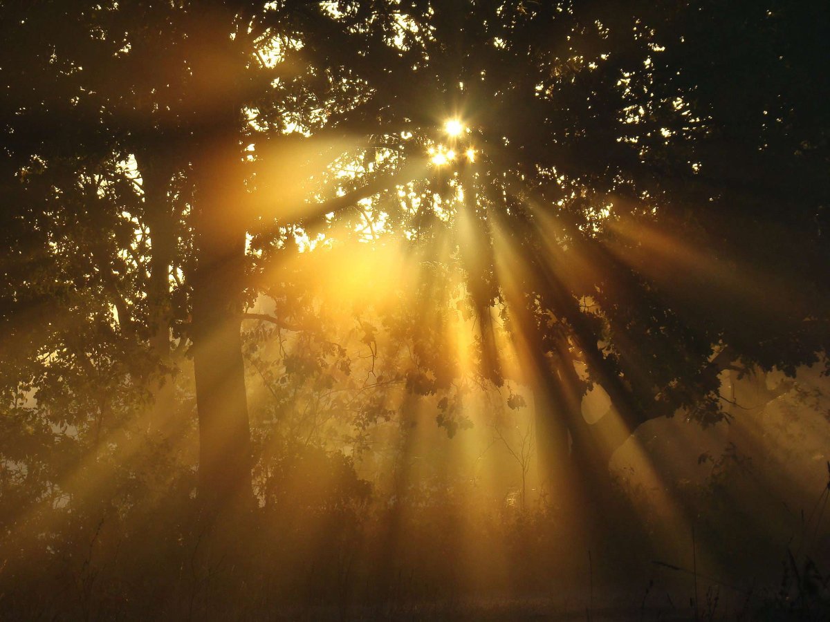 Луч солнца золотого