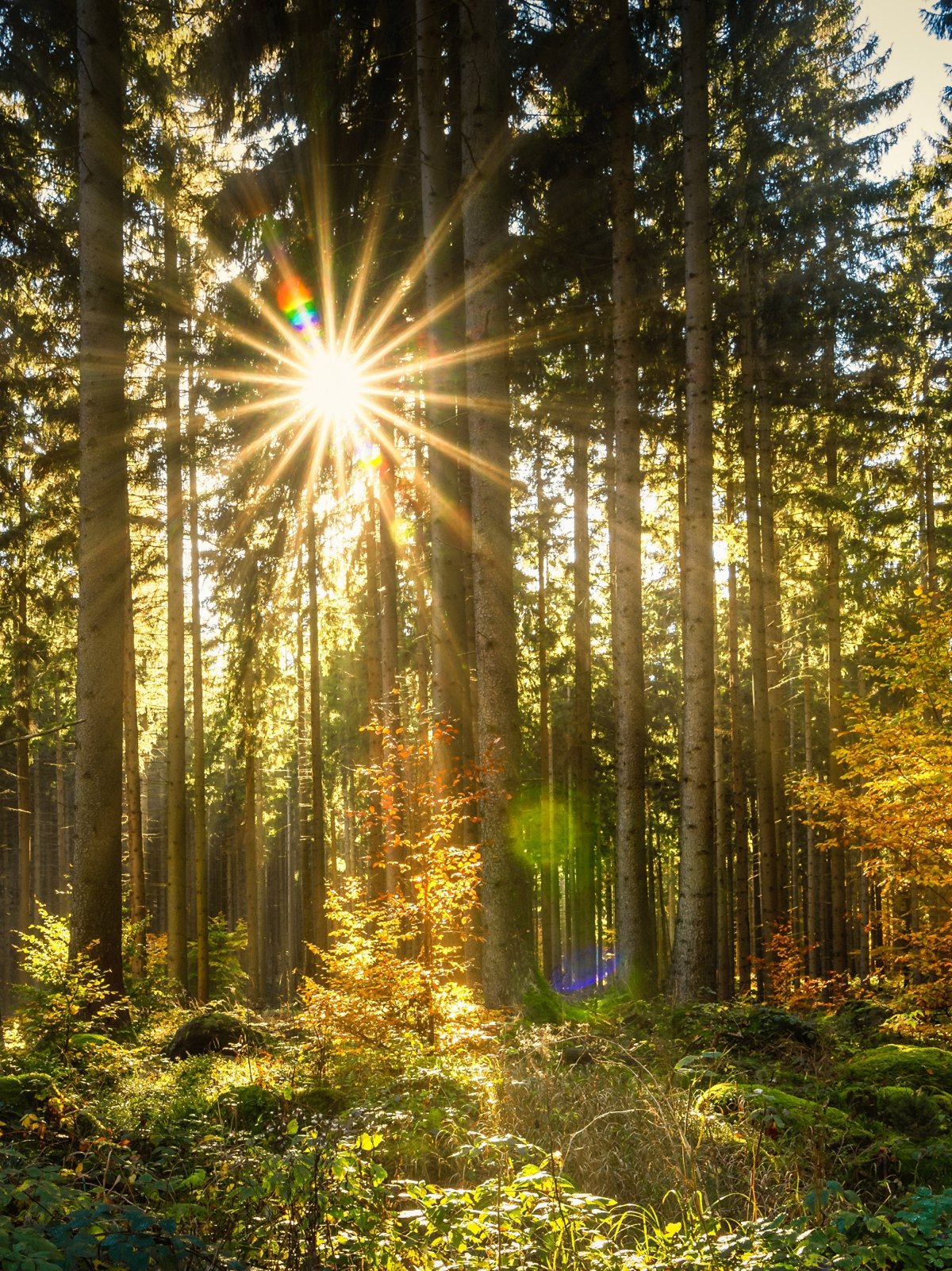 Закат солнца