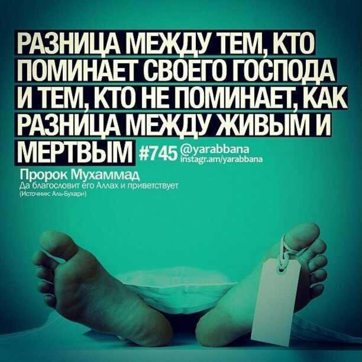 Девушка в хиджабе в мечети