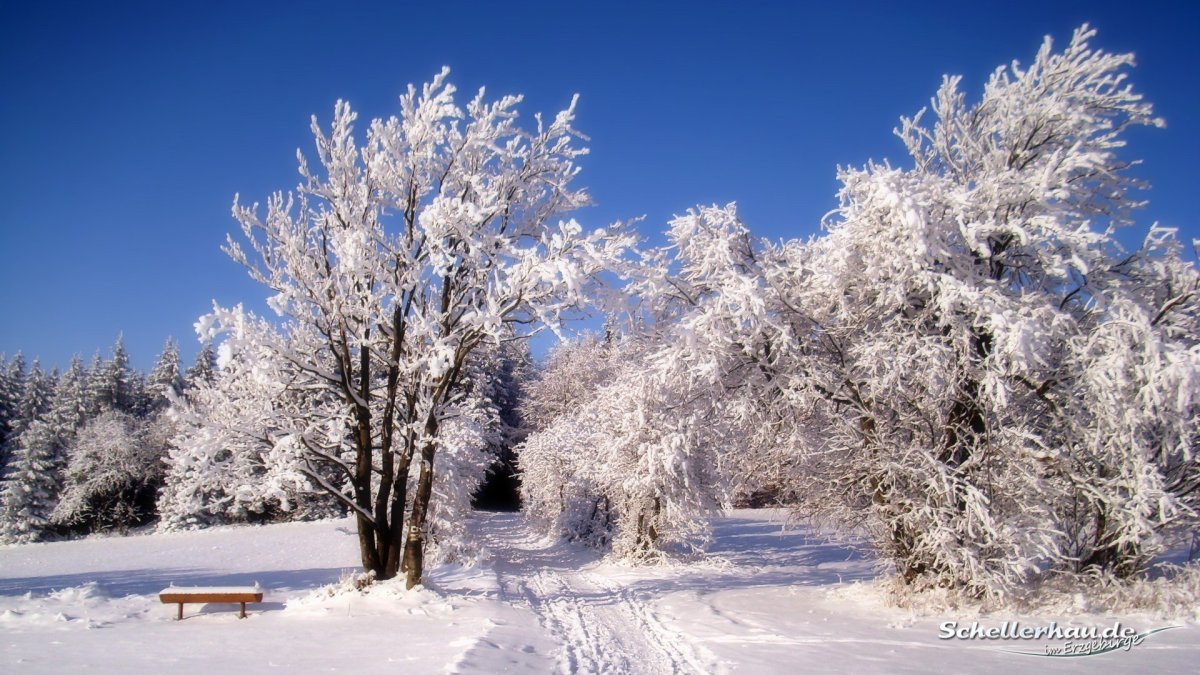 Заставка на рабочий стол зима