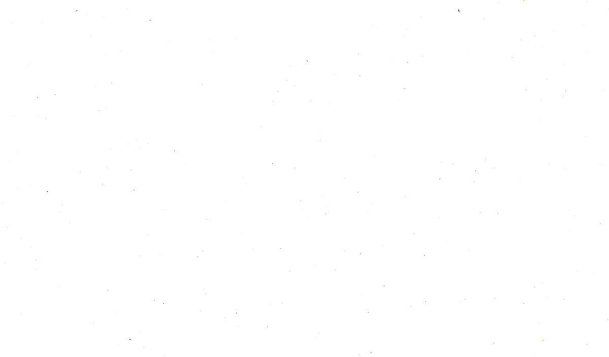 Белый цвет фон без ничего