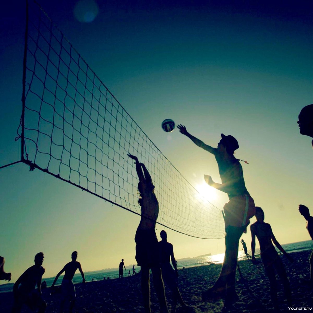 Спорт волейбол