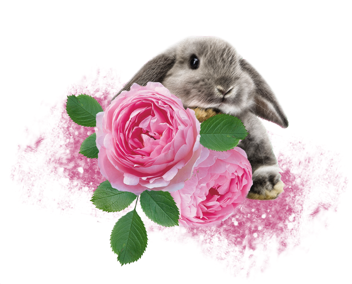 Зайчик с цветами