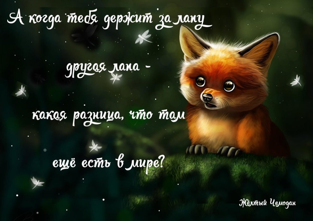 Спокойной ночи Лисичка