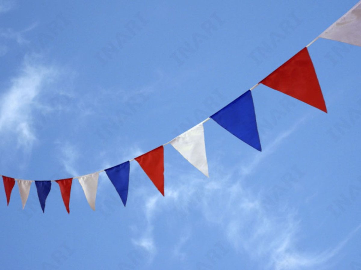 Флажная лента Триколор