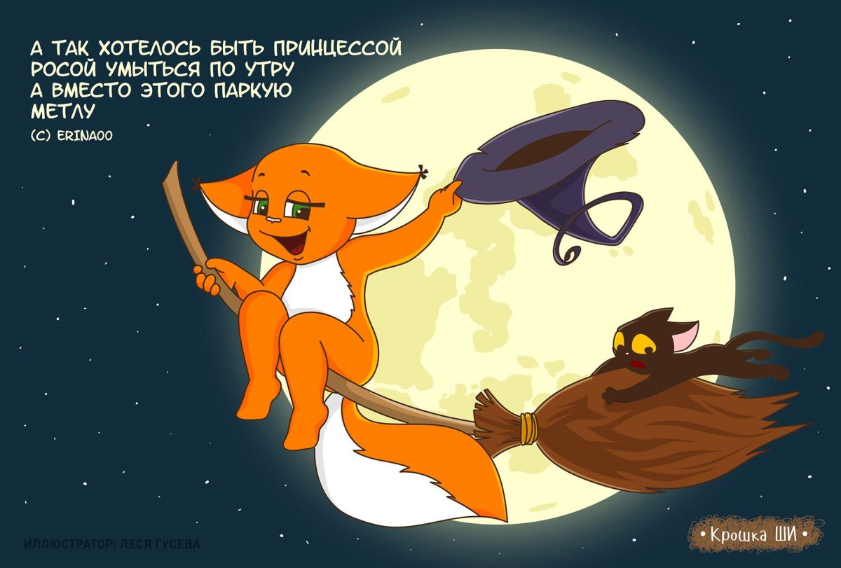 Лисичка крошка ши