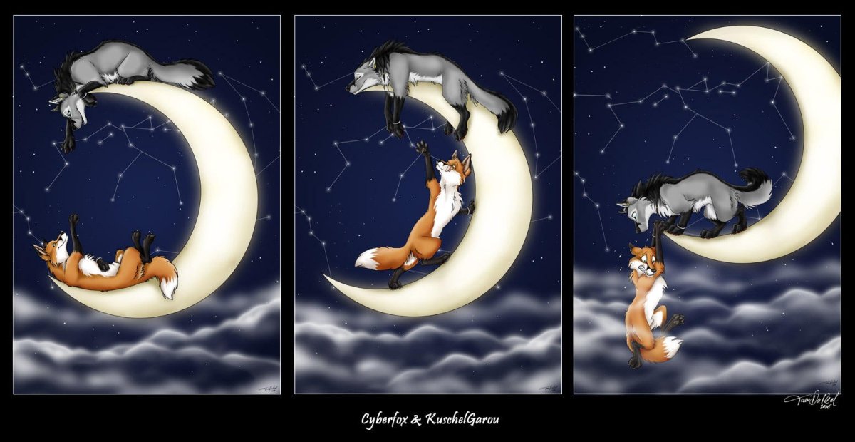 Лисичка спит на Луне