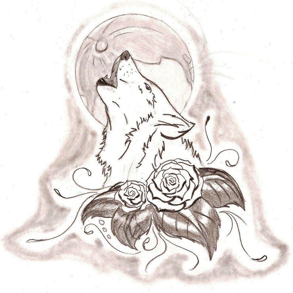 Картинки волка для срисовки