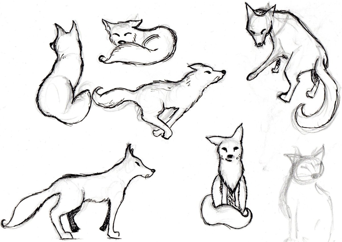 Рисунок лисы для срисовки легкие