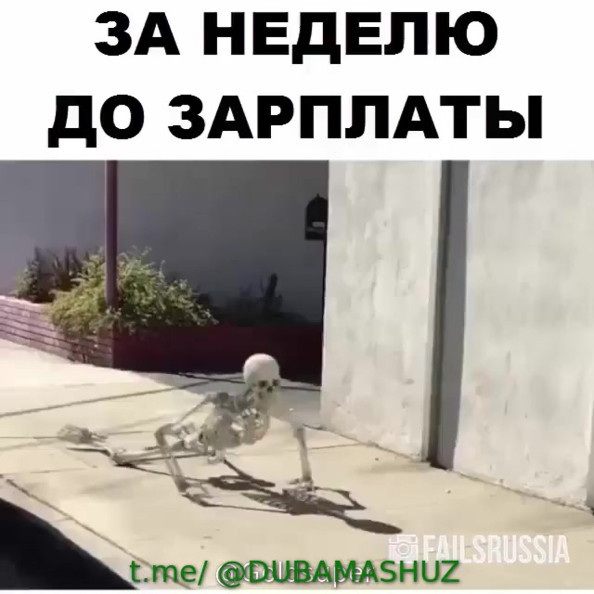 До зарплаты прикол