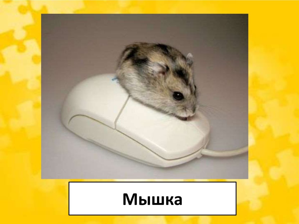 Мышь с компьютерной мышкой