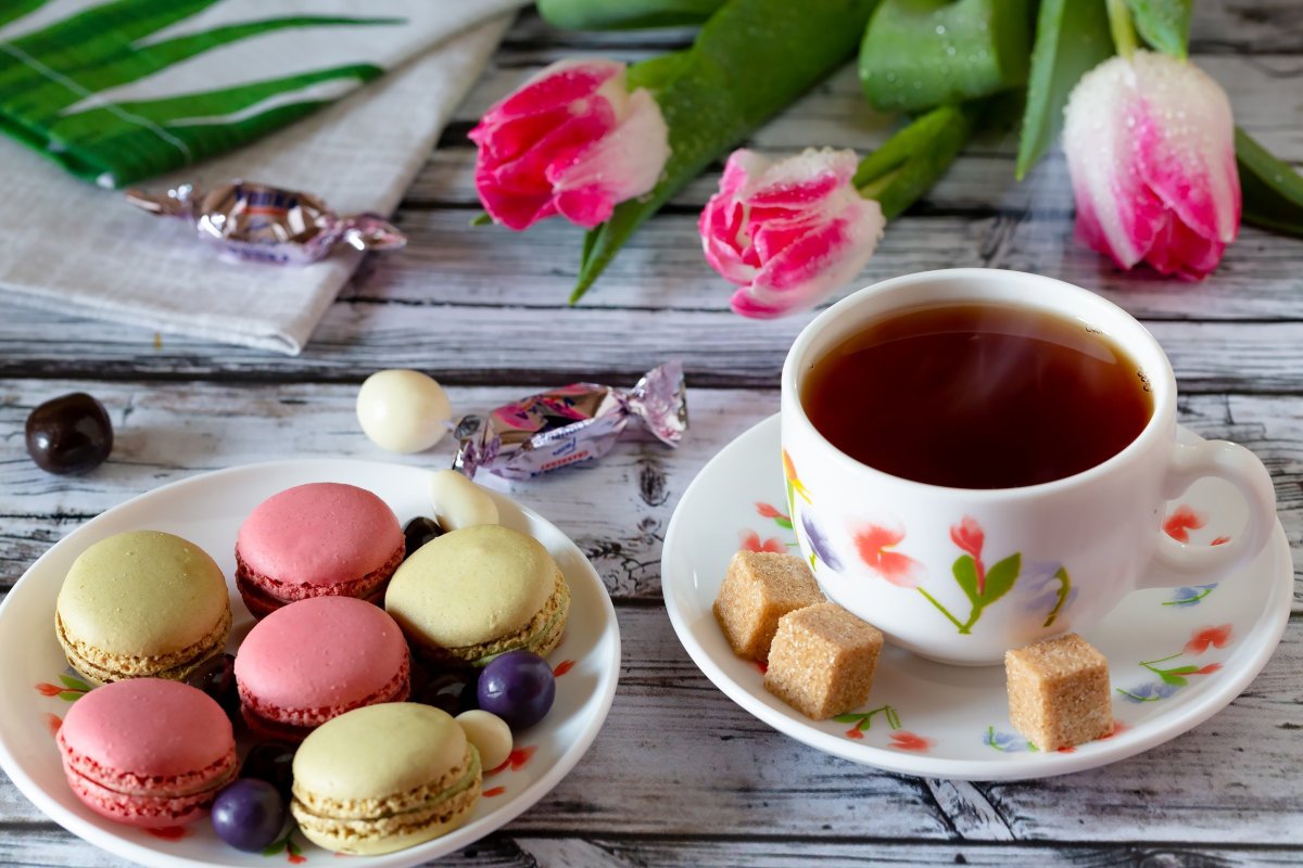 Утро зима кофе завтрак девушка