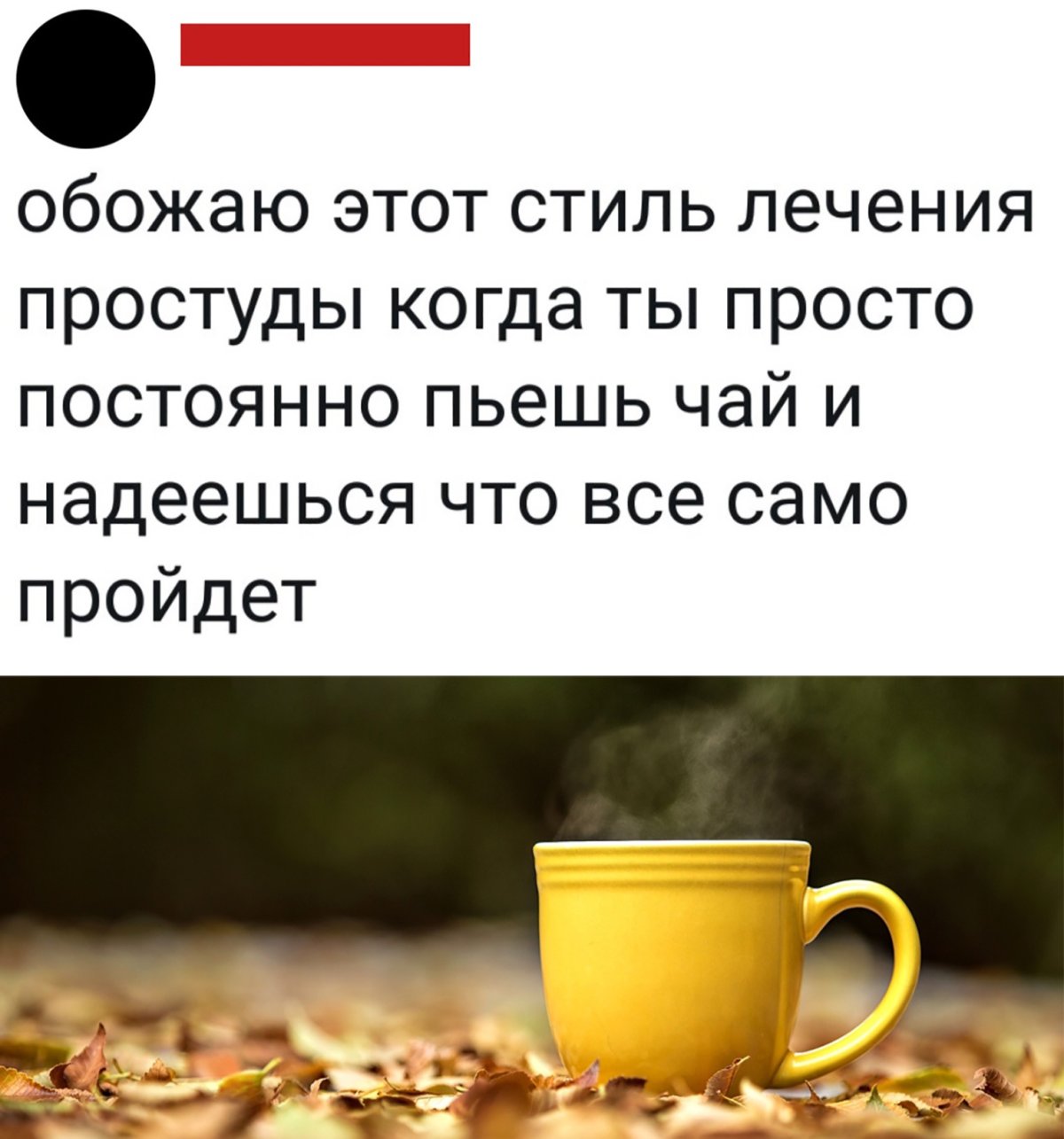 Цитаты про простуду