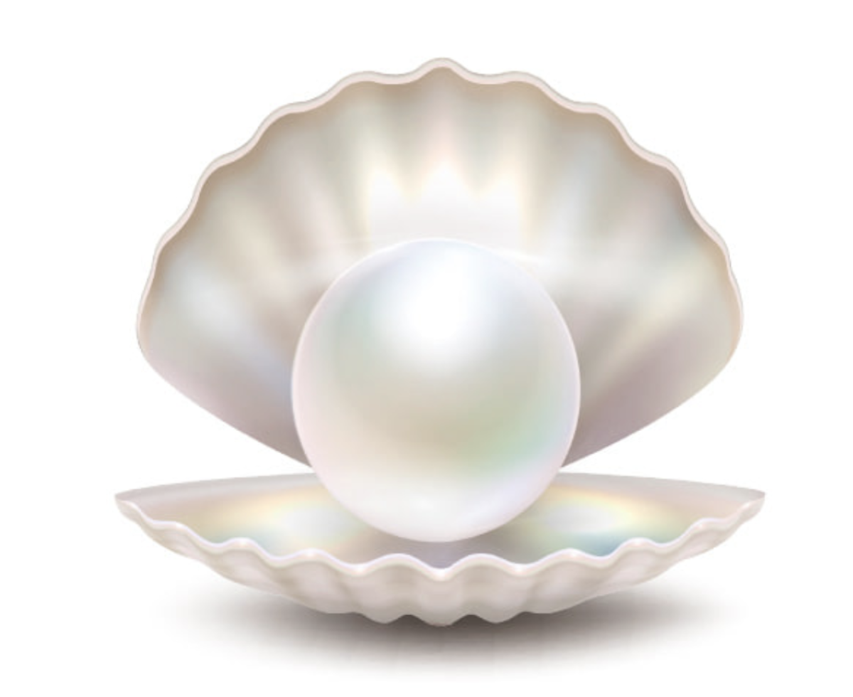 Ракушка с жемчужиной