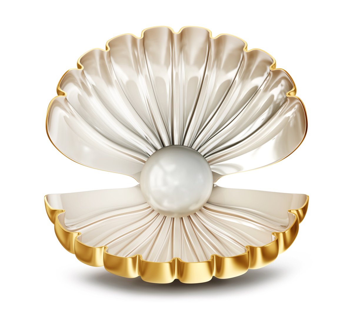 Морская Жемчужница белая моллюск