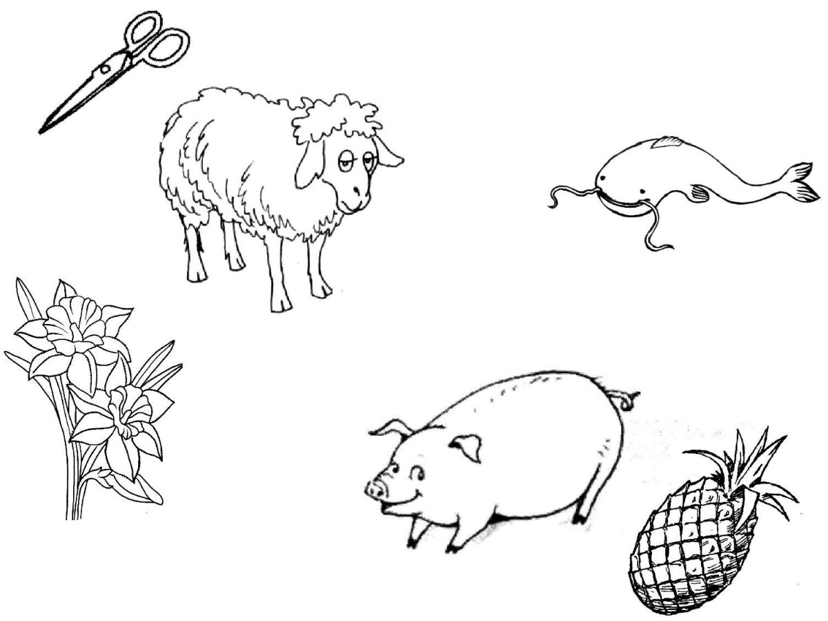 Звук ц задания для дошкольников