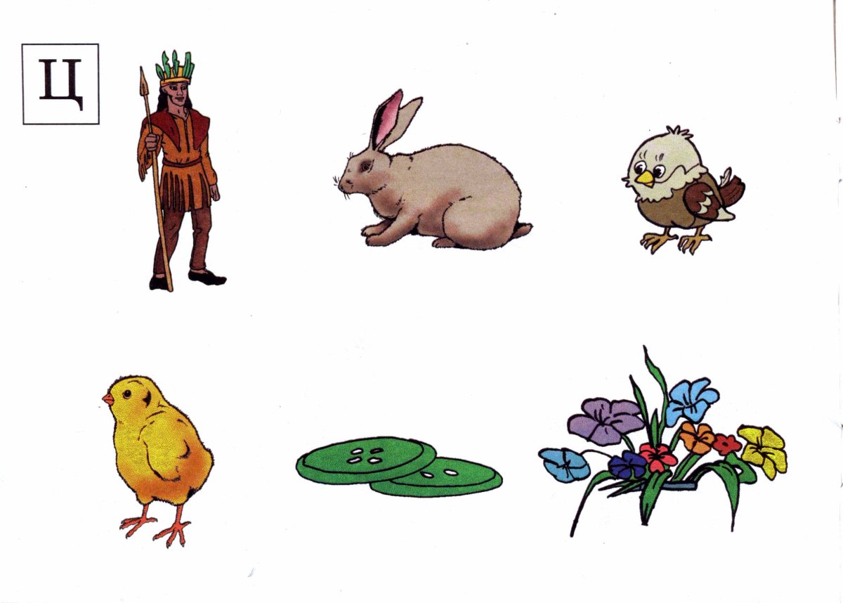 Предметы в которых есть звук ц