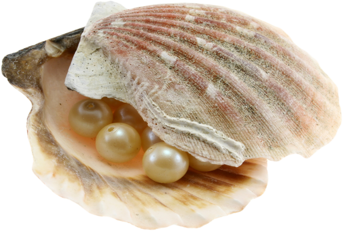 Раковина из золота с жемчужиной