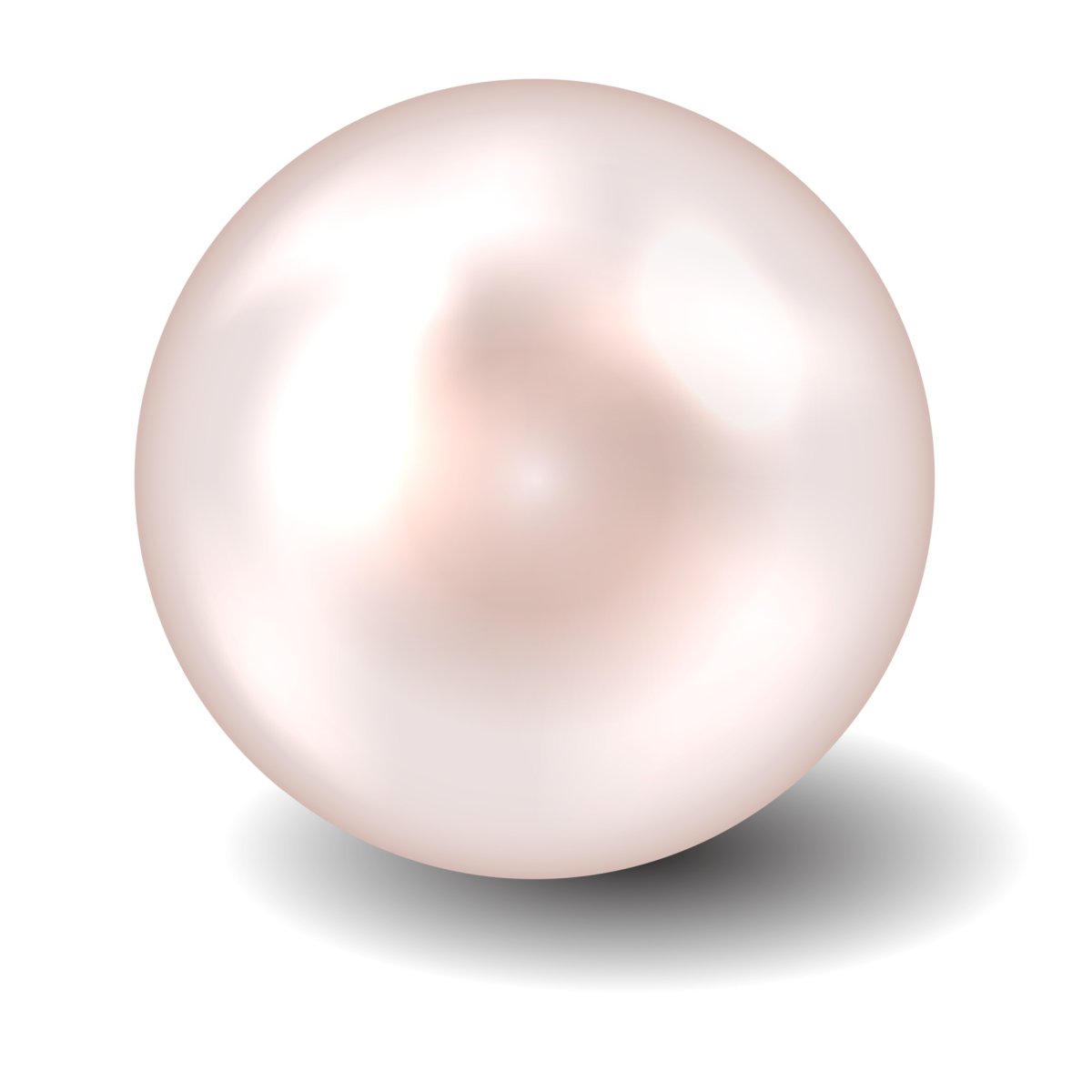 Красивая Жемчужина в раковине