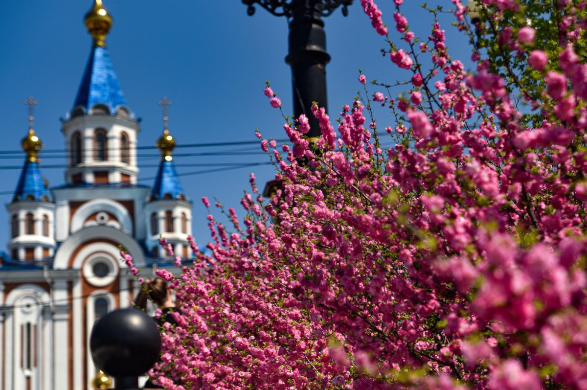 Хабаровск Весна