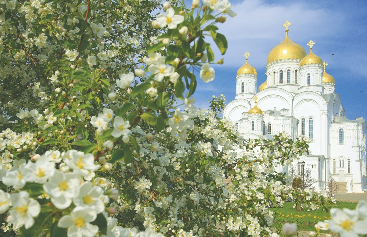 Дивеево сирень