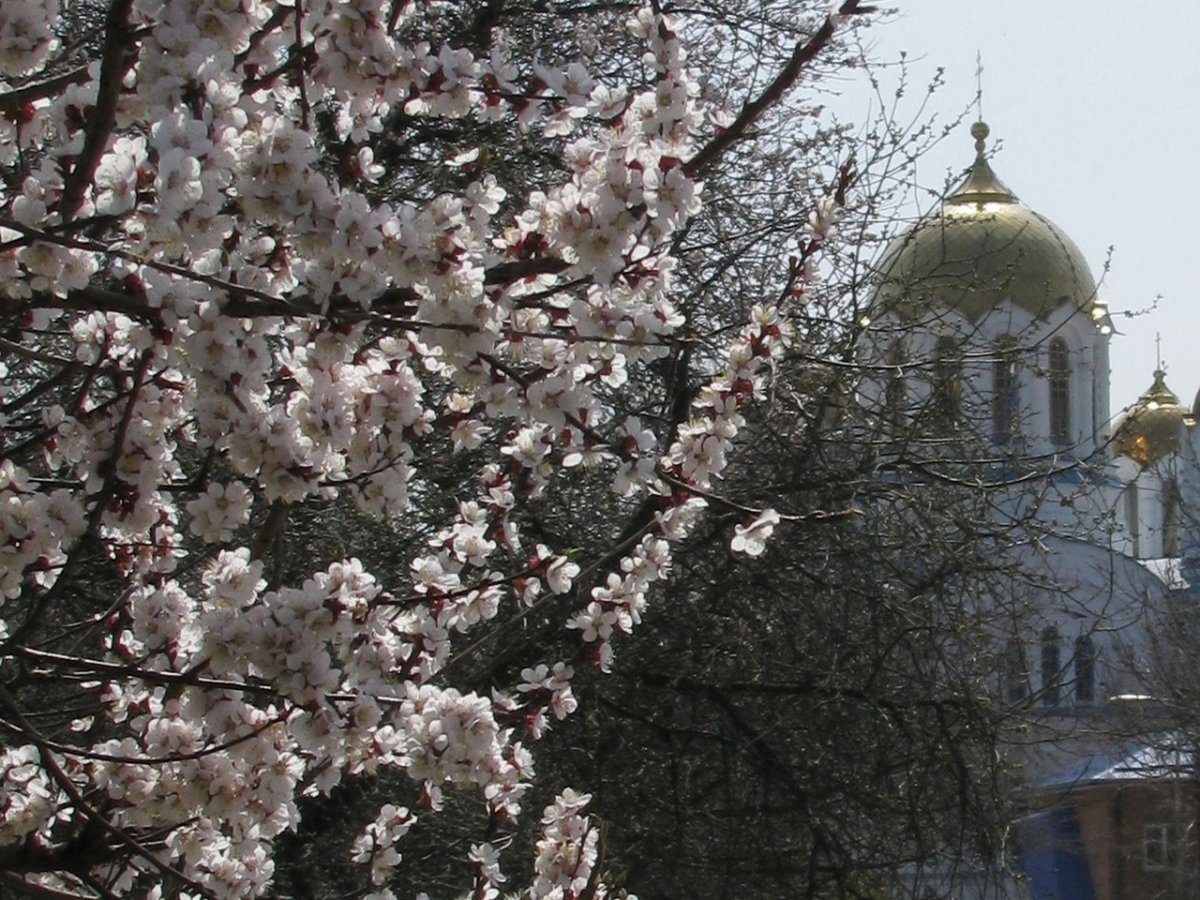 Весенний храм