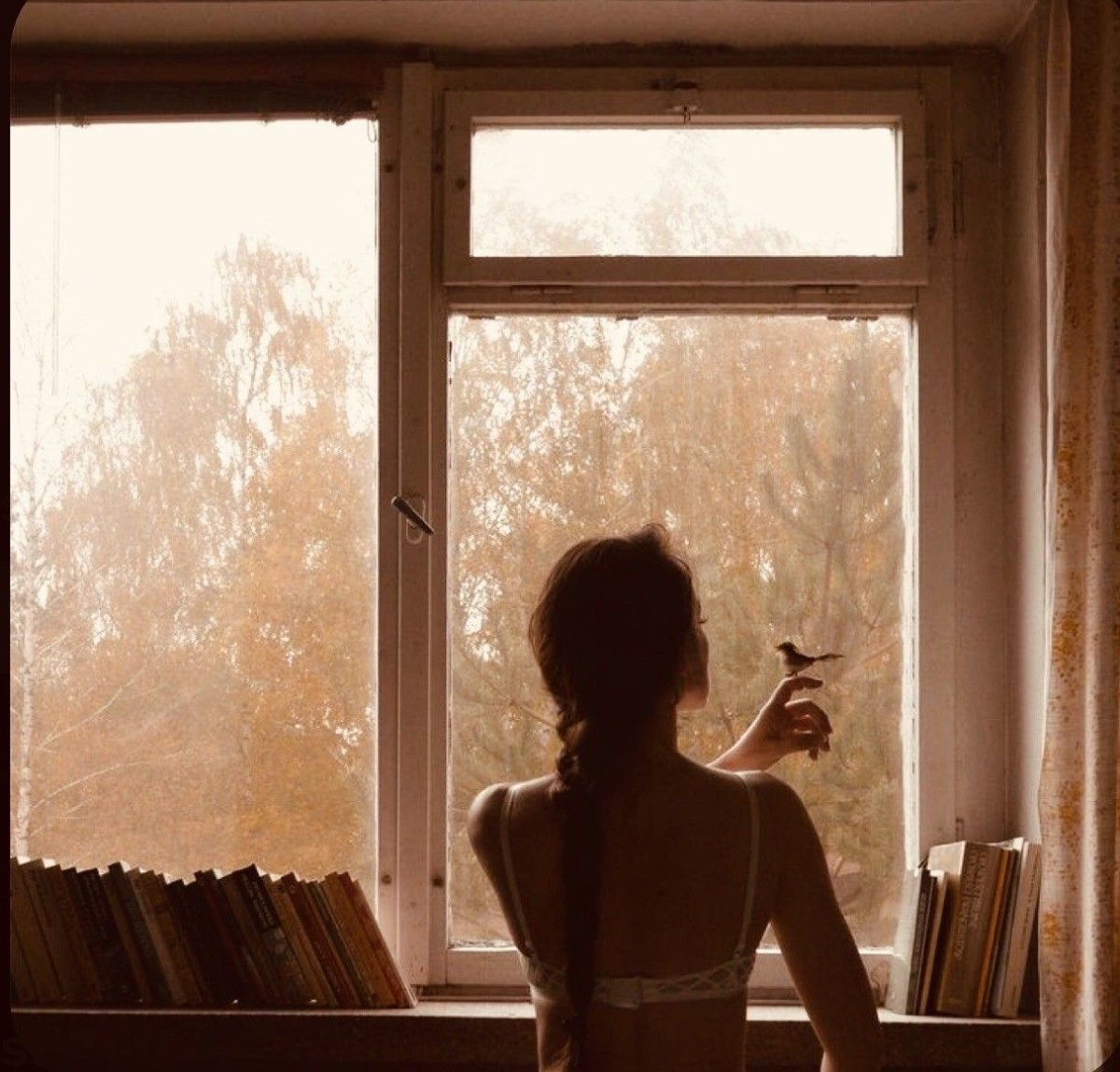 Непогода за окном