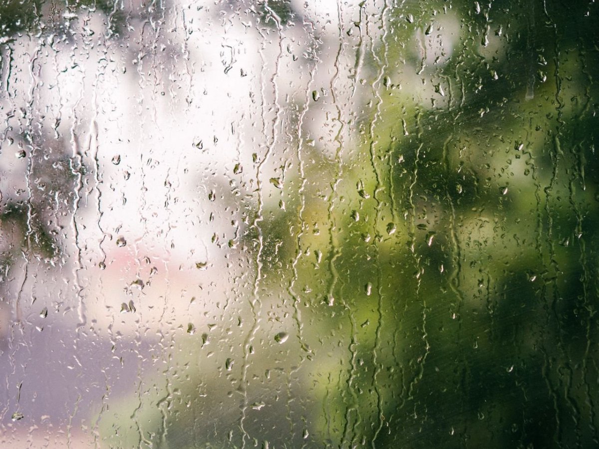 Человек на подоконнике