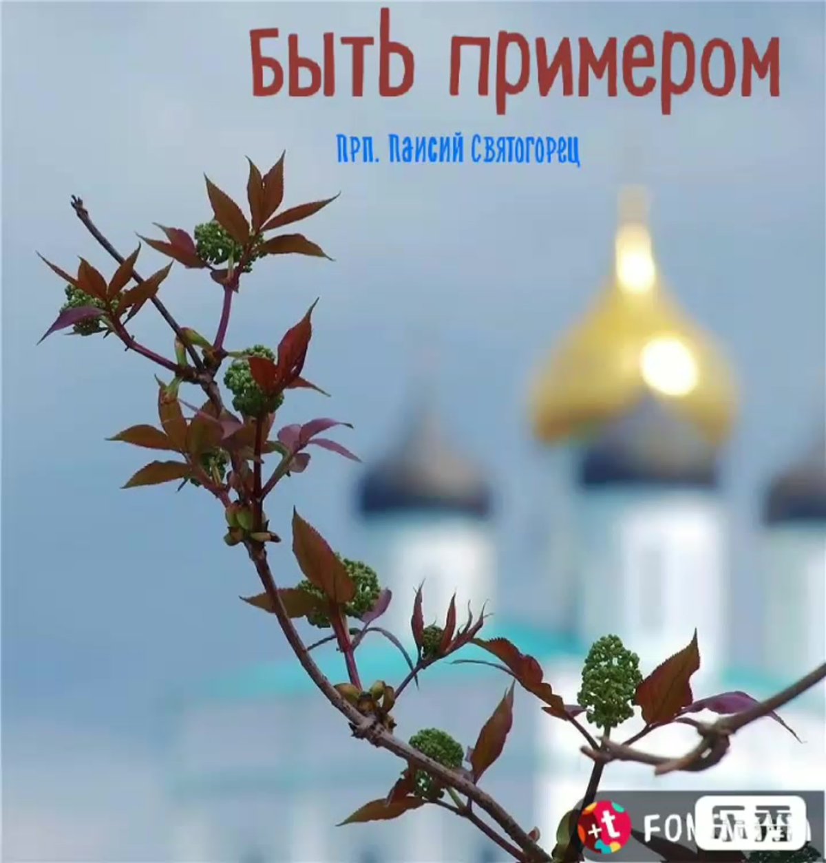 Весна Православие