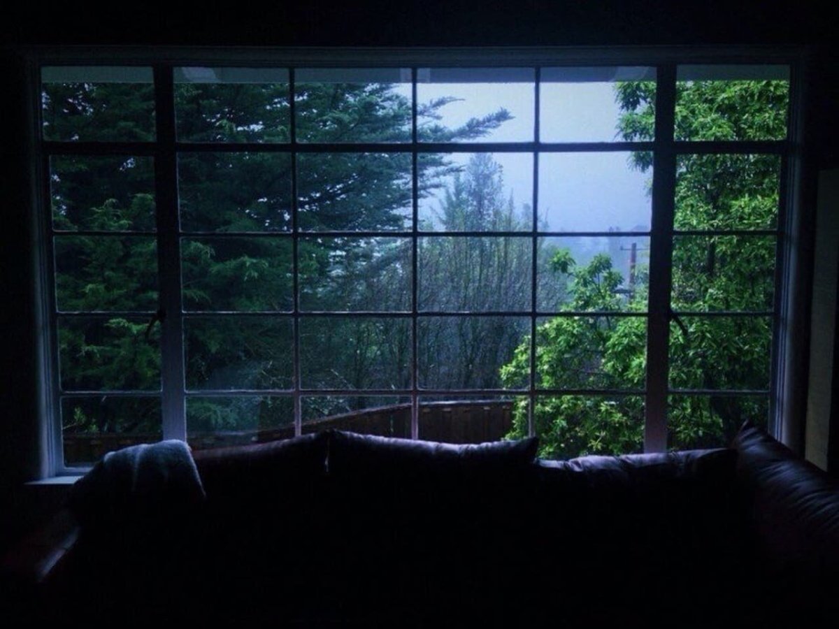 Чай и дождь за окном