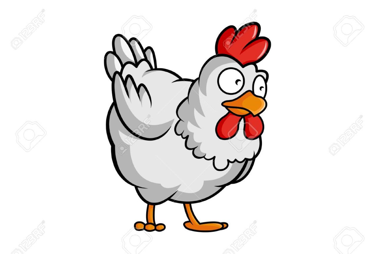 Мясо птицы зарисовки