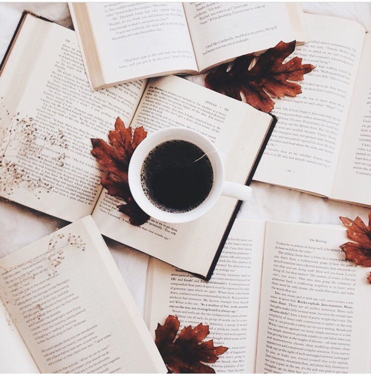 Красивые раскладки с книгами