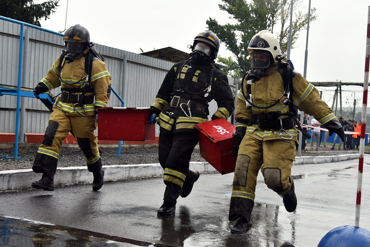 ГПС МЧС России (пожарная охрана)