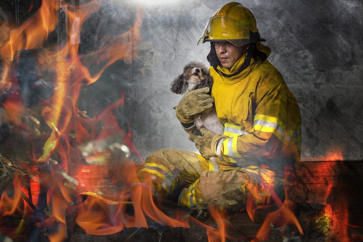 Пожарный с котенком