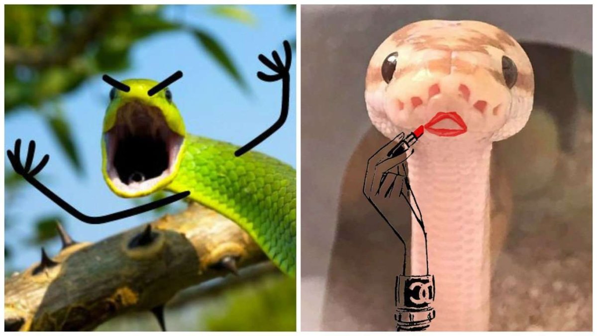 Упоротые змеи