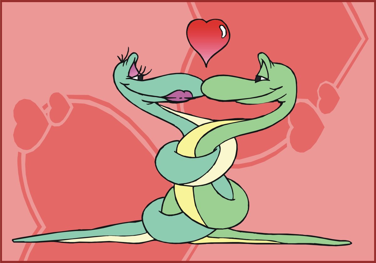 Змеи обнимашки