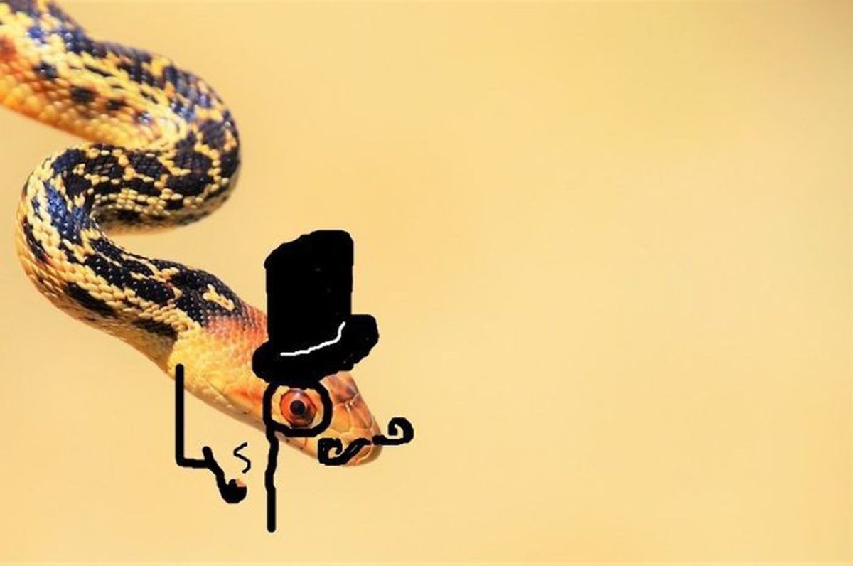 Мемная змея