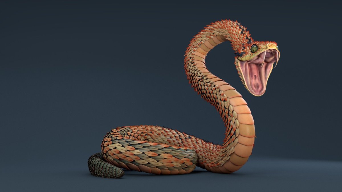 Королевская Кобра арт