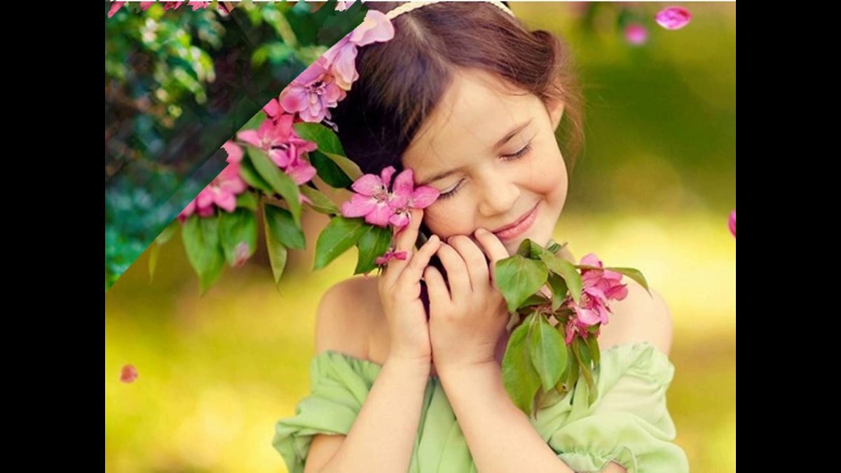 Открытки с афоризмами