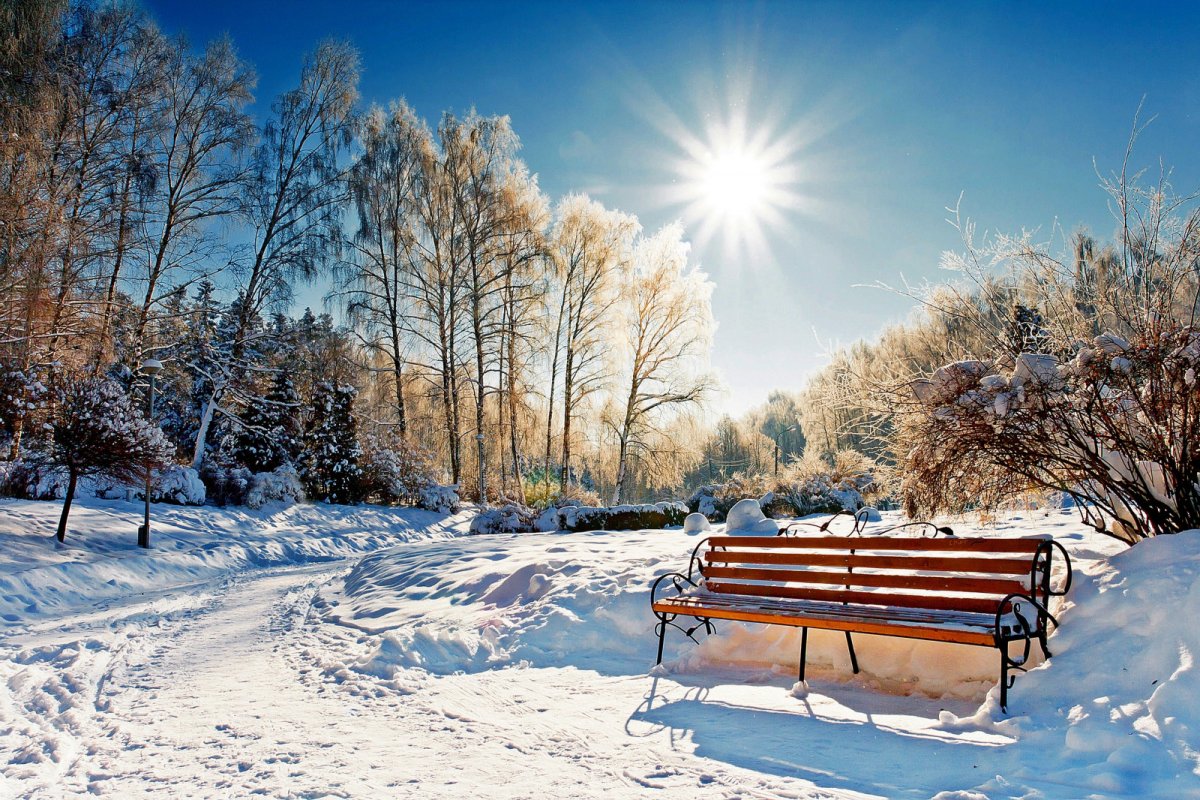 Февральский пейзаж