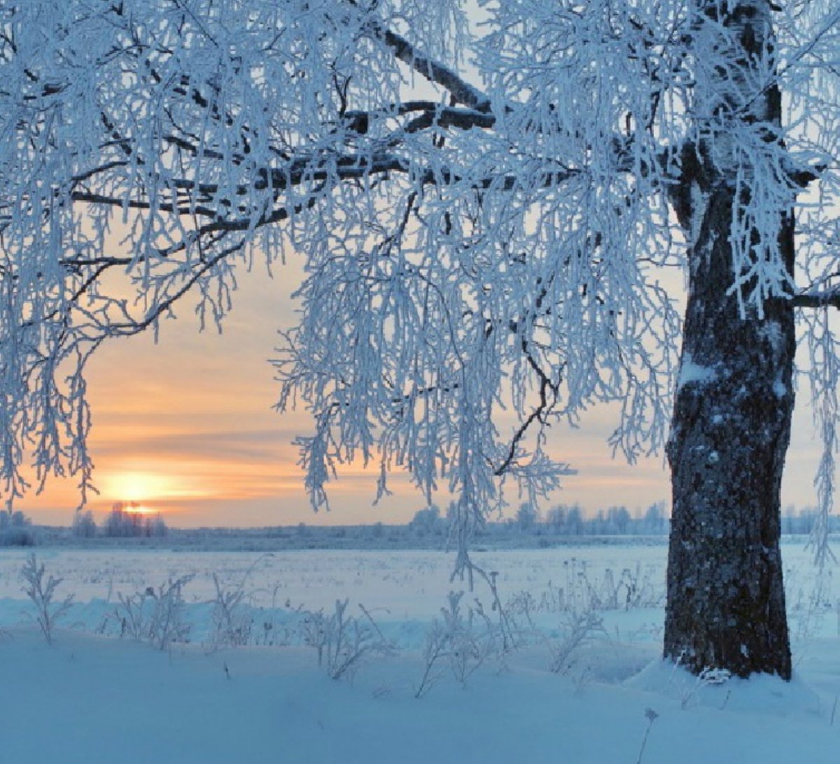 Зимние пейзажи с пожеланием доброго