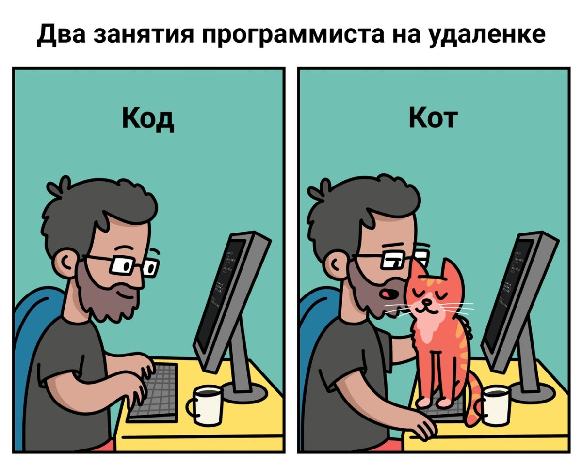 Программист приколы