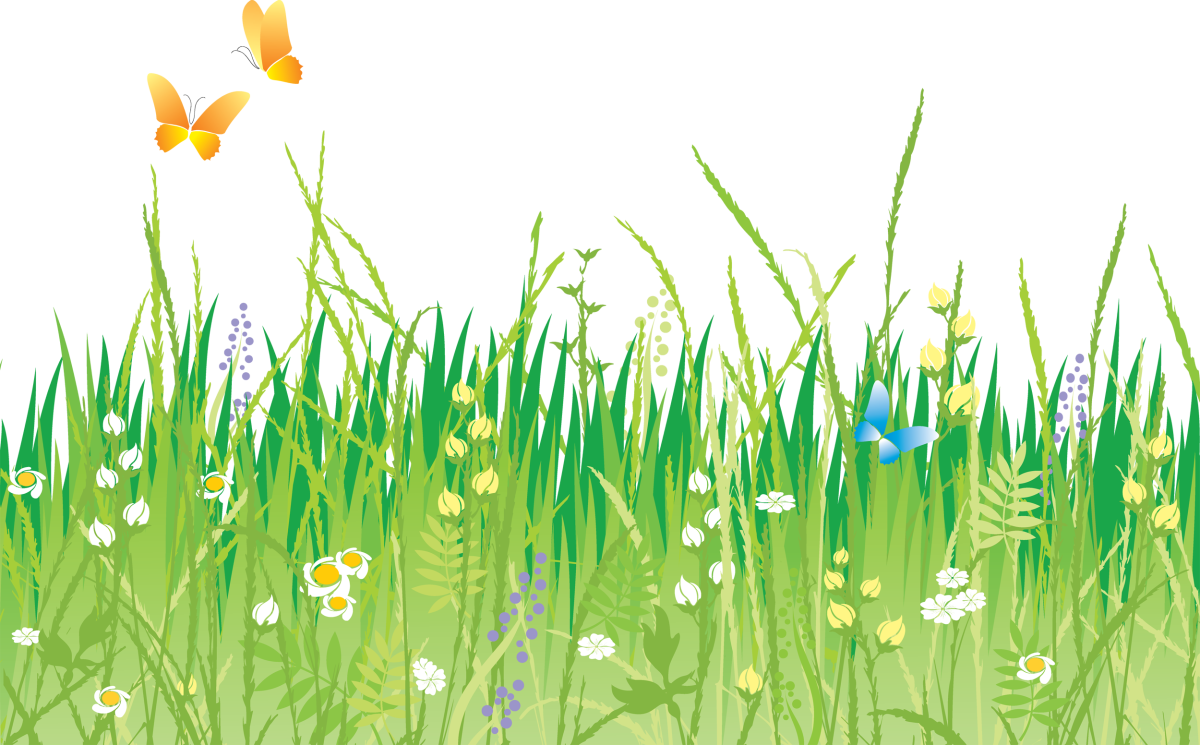 Трава вектор