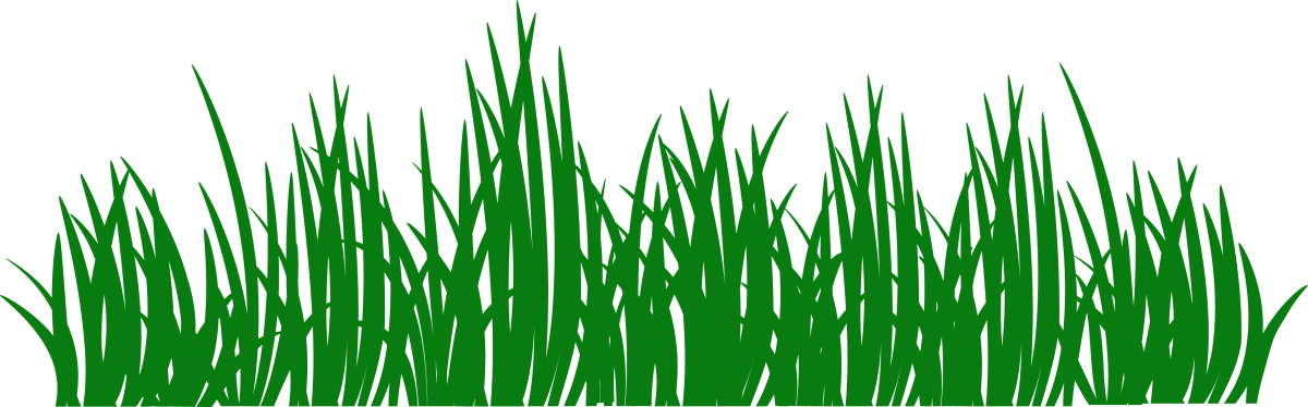 Рисование травка