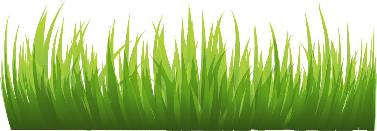 Трава рисунок