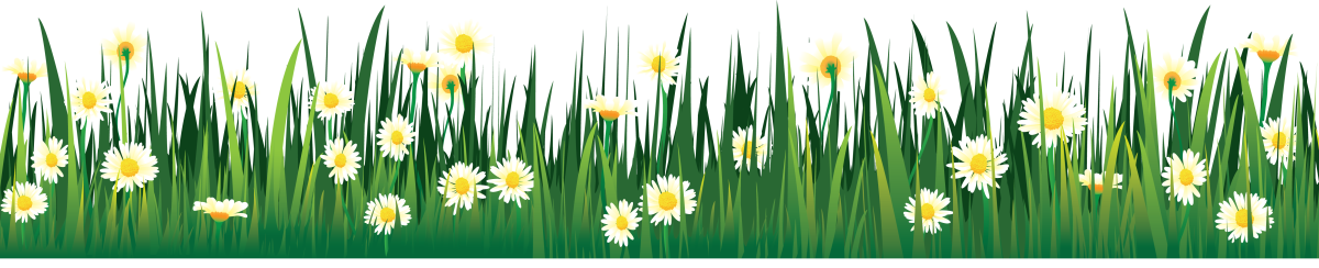 Ромашки бордюр